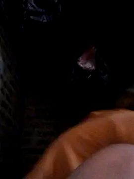 Snapshot of yana-zz chatting on 03.28.26 yana-zz online show from 03.28.26