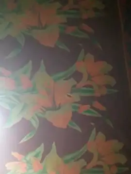 Snapshot of yana-zz chatting on 04.12.26 yana-zz online show from 04.12.26