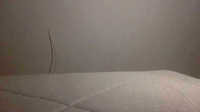 Palinchik online show from 02.01.26