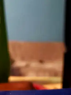 Roberto772 online show from 02.26.26