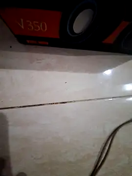 Cicie88 online show from 04.21.26