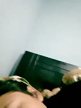 moodsailor online show from 01.07.26