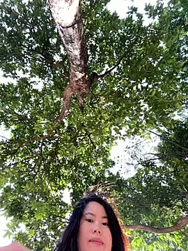 Snapshot of ella-ys chatting on 01.11.26 ella-ys online show from 01.11.26