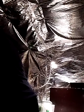 Snapshot of Quebec46 chatting on 02.20.26 Quebec46 online show from 02.20.26