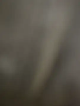 Sammyboii006 online show from 12.16.25