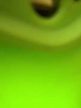 Kacaah online show from 02.27.26