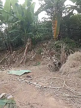 Menlike69 online show from 01.11.26