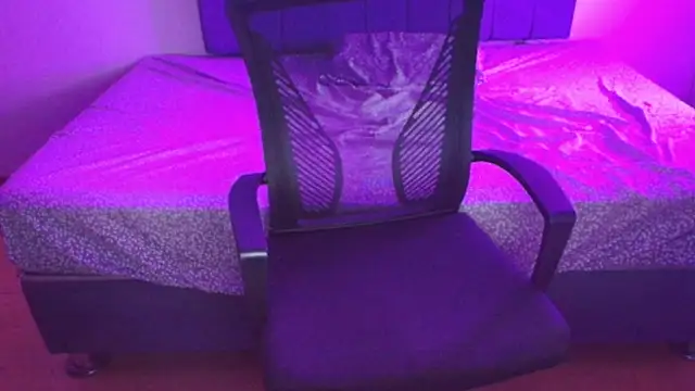 Sofii unicorn online show from 03.14.26