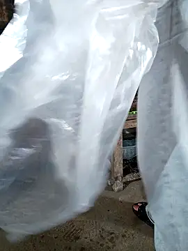 hangnga89 online show from 03.01.26