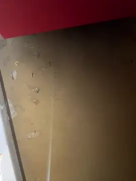 lele202526 online show from 04.01.26