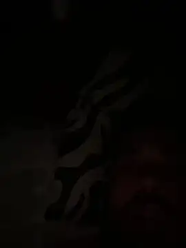 paco199923 online show from 02.04.26