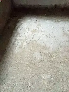 dakota-kis online show from 02.04.26