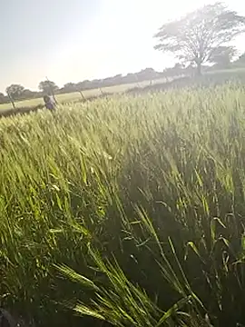 hornycouple20000 online show from 01.14.26