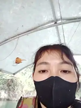 Asami 6868 online show from 01.18.26