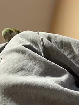 Andres56ojh online show from 02.14.26