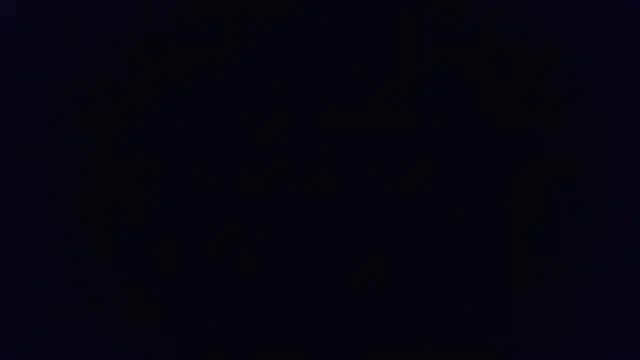 BotanicEntry1 online show from 04.10.26