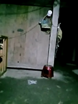 him220 online show from 01.31.26