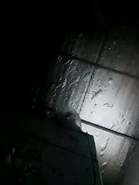 Sana-vn online show from 03.24.26