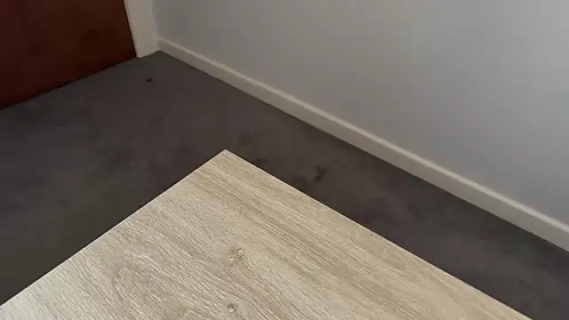 adelaide2026 online show from 04.02.26