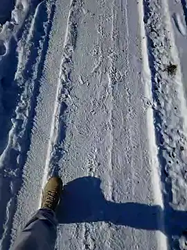 Snapshot of Erz84 chatting on 02.19.25 Erz84 online show from 02.19.25