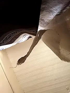 Snapshot of shanicollete chatting on 01.15.26 shanicollete online show from 01.15.26