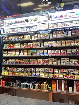 Dominic2295 online show from 02.17.26