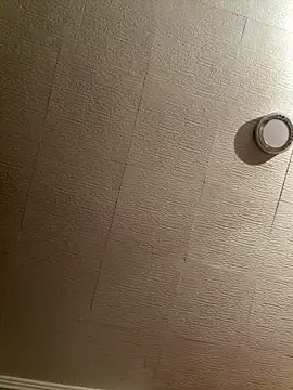 Evelin199 online show from 02.08.26