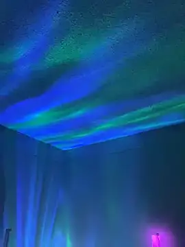 wolfbucker online show from 04.02.26