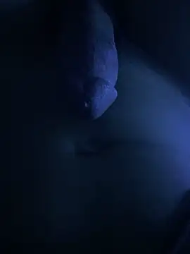 fofi77 online show from 04.17.26