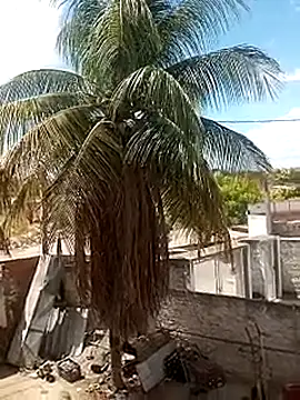     gozada---- online show from 01.09.26