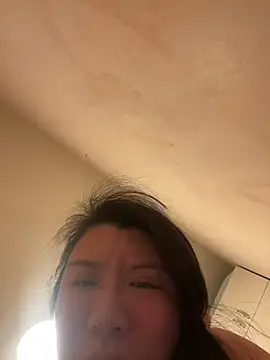 wy2026 online show from 02.11.26