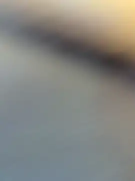 wy2026 online show from 04.06.26