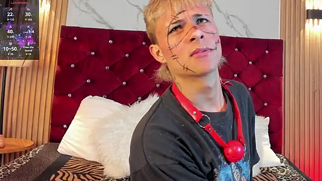 Snapshot of Heiden-Stiven chatting on 01.11.26 Heiden-Stiven online show from 01.11.26