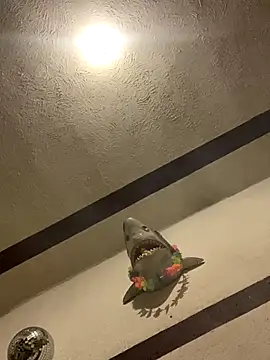 luis-pipo online show from 01.08.26