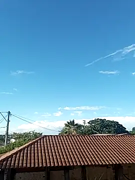 --------bucetuda------- online show from 01.08.26