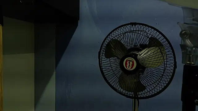 yvi taylor online show from 04.13.26