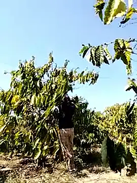 Ginny 2x online show from 03.22.26