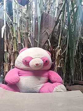 leona118 online show from 02.11.26