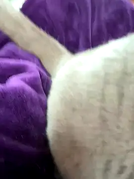 cdfemnaty online show from 01.09.26