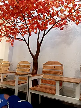 Dante Knox online show from 02.24.26