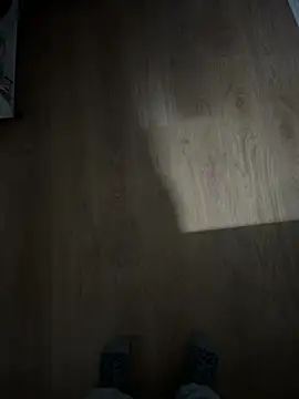 Hamsterdich online show from 01.11.26