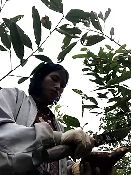 sun-shii online show from 01.14.26