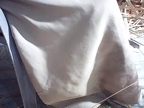 Snapshot of Futar8388 chatting on 01.13.26 Futar8388 online show from 01.13.26