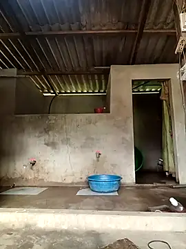 -Likin- online show from 03.31.26