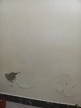 PatriciaVen online show from 02.07.26