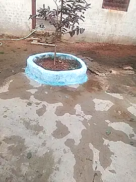 CUTE khusabi online show from 01.18.26