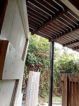 Snapshot of dicklife3485 chatting on 02.24.26 dicklife3485 online show from 02.24.26