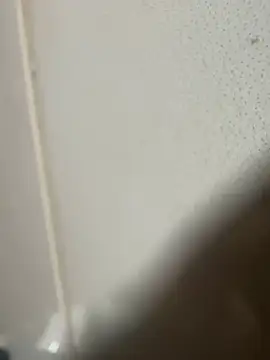 luvis69couple online show from 04.01.26