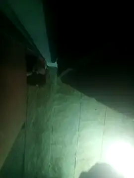 Snapshot of priyasharma899 chatting on 03.13.26 priyasharma899 online show from 03.13.26