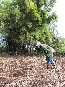 Jooj- online show from 03.22.26